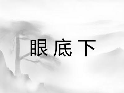 眼底下 眼底下