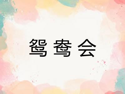 鸳鸯会