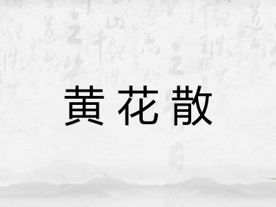 黄花散 黄花散