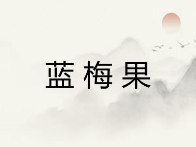蓝梅果 蓝梅果
