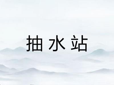 抽水站 抽水站