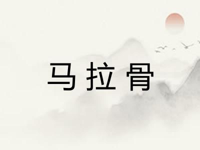 马拉骨 马拉骨