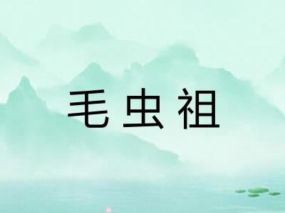 毛虫祖
