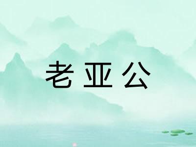 老亚公