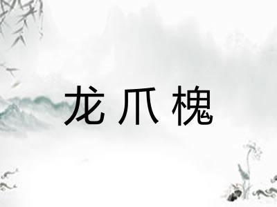 龙爪槐