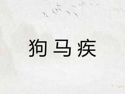 狗马疾