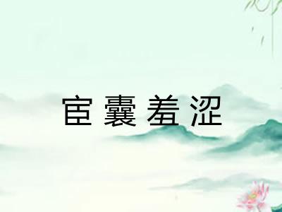 宦囊羞涩