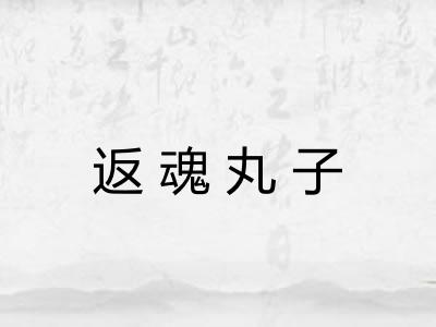 返魂丸子
