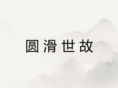圆滑世故 圆滑世故