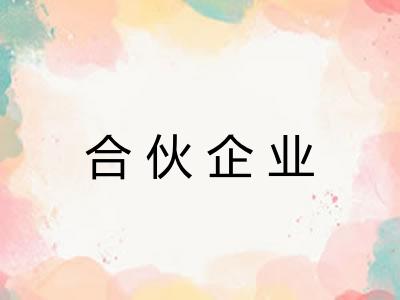合伙企业