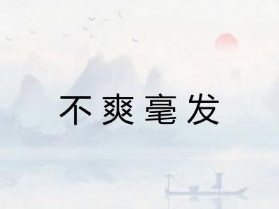 不爽毫发 不爽毫发