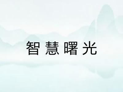 智慧曙光