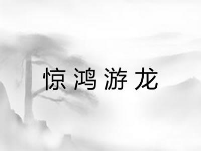 惊鸿游龙 惊鸿游龙