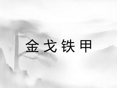 金戈铁甲 金戈铁甲