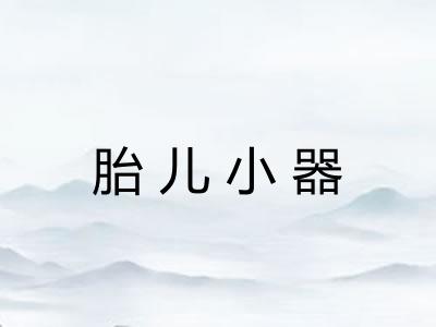 胎儿小器 胎儿小器
