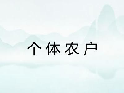 个体农户 个体农户