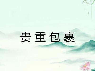 贵重包裹 贵重包裹