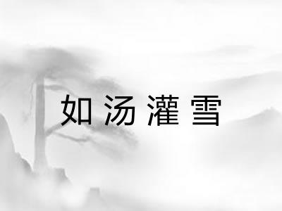 如汤灌雪 如汤灌雪