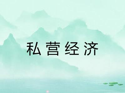 私营经济 私营经济
