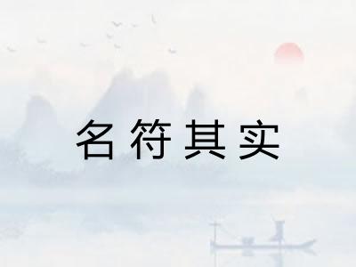 名符其实 名符其实