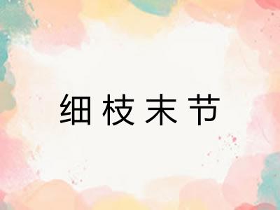 细枝末节 细枝末节