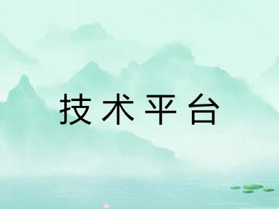 技术平台