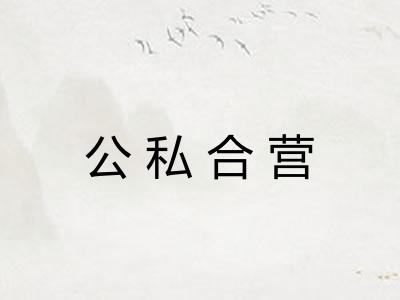 公私合营 公私合营