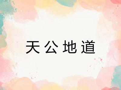 天公地道 天公地道