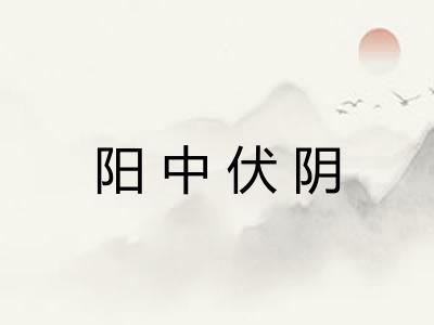 阳中伏阴 阳中伏阴