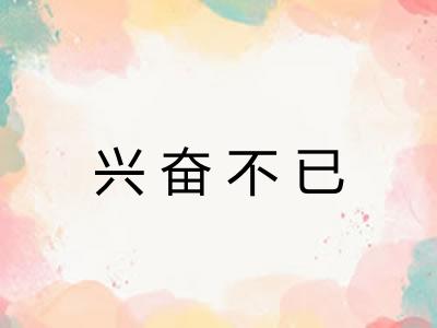 兴奋不已 兴奋不已