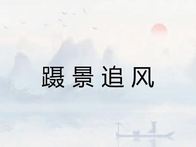 蹑景追风