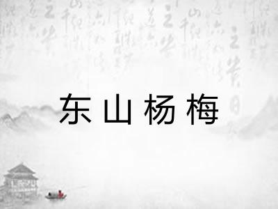 东山杨梅 东山杨梅