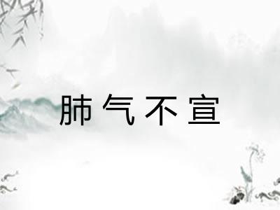 肺气不宣 肺气不宣