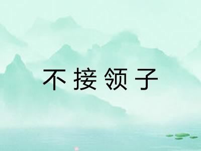 不接领子 不接领子