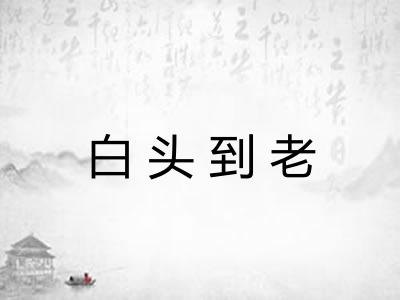 白头到老 白头到老