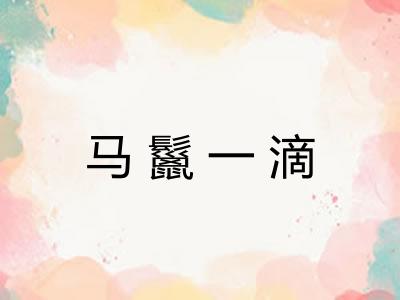 马鬣一滴 马鬣一滴