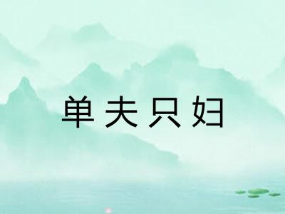 单夫只妇