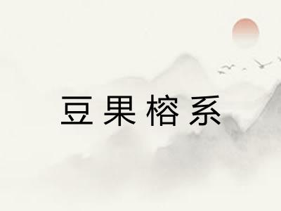 豆果榕系