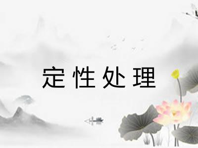 定性处理 定性处理