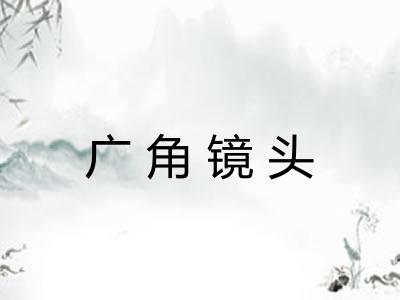 广角镜头 广角镜头