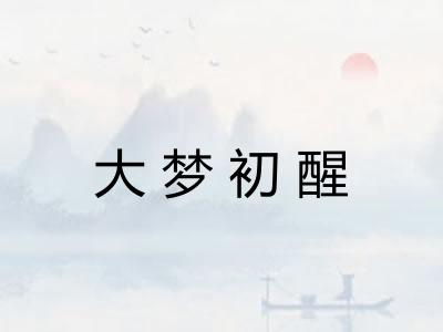 大梦初醒