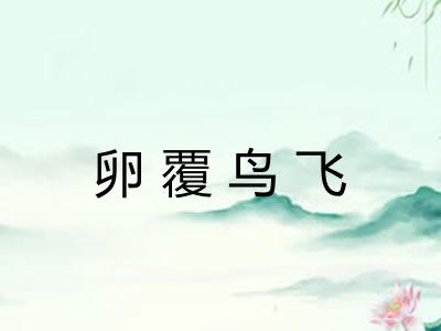 卵覆鸟飞