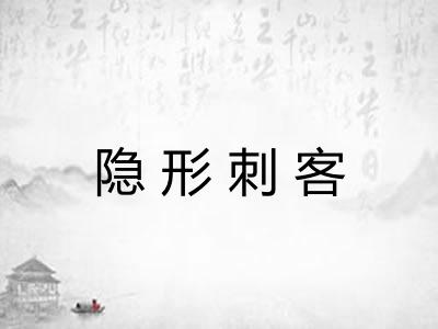 隐形刺客 隐形刺客