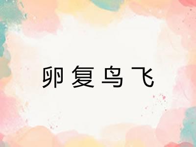 卵复鸟飞