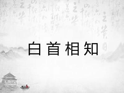 白首相知 白首相知