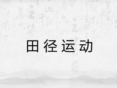 田径运动 田径运动