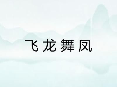 飞龙舞凤 飞龙舞凤