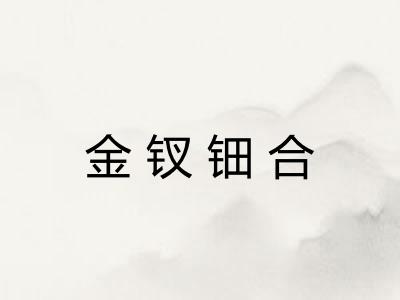 金钗钿合 金钗钿合