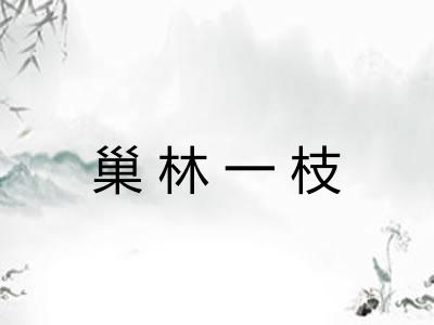 巢林一枝 巢林一枝