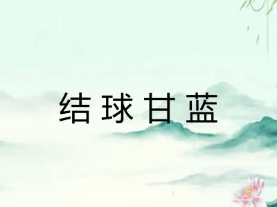 结球甘蓝